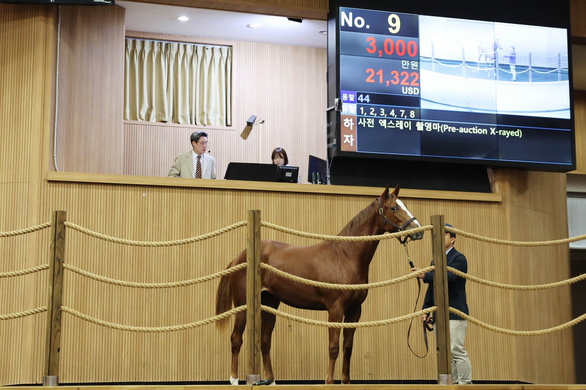 差点力挽狂澜！麦考尔23中17狂轰46分13篮板，无奈成空砍